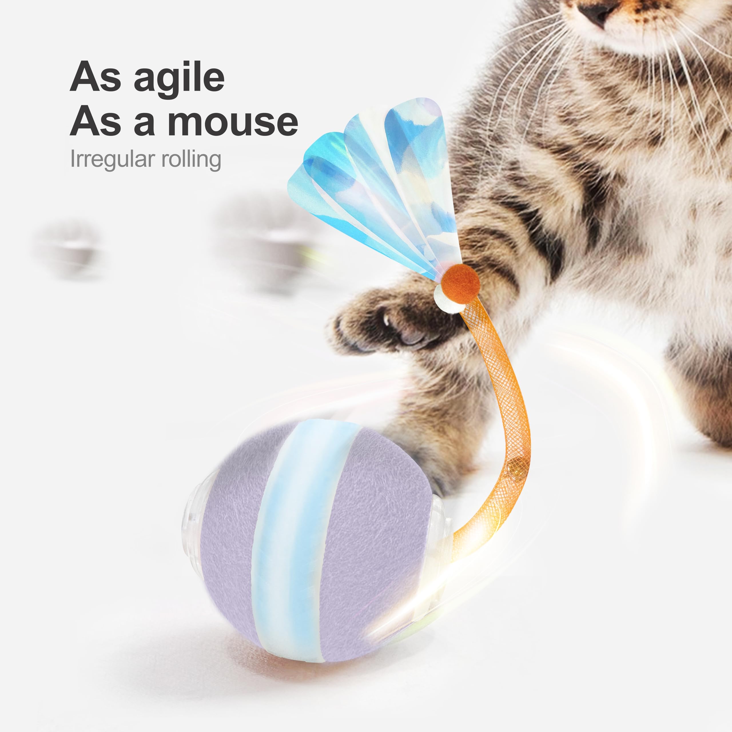 Jkanti Agile cat ball on carpet illustrating versatile floor play