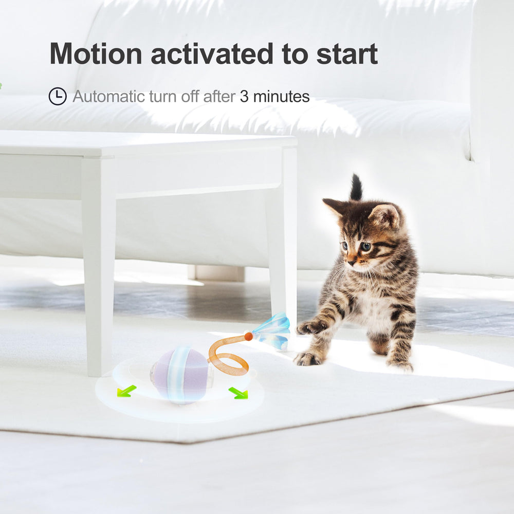 Jkanti Slow Mode with red light off for gentle cats