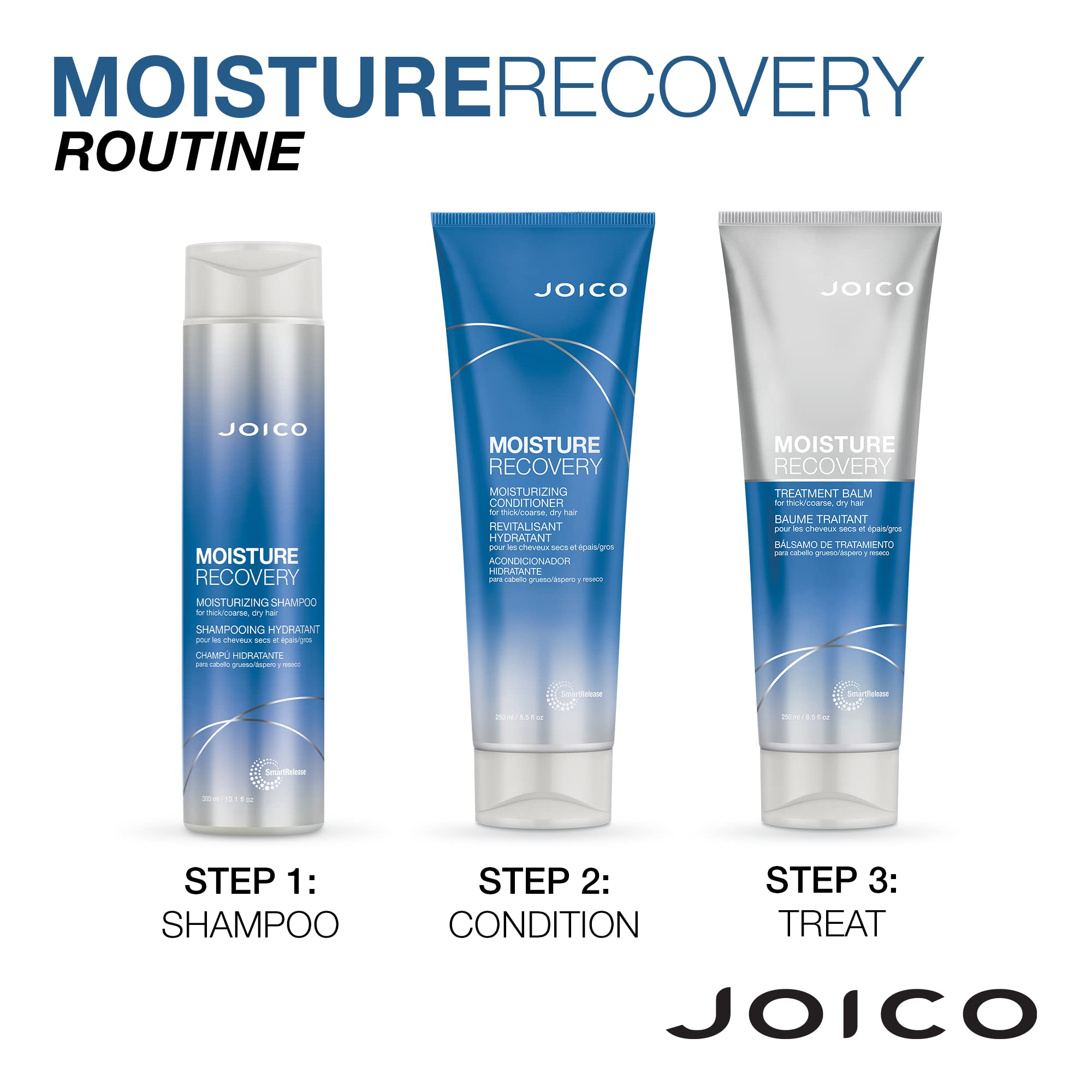 Graphic of Joico Moisture Recovery nourishing formula and key benefits.