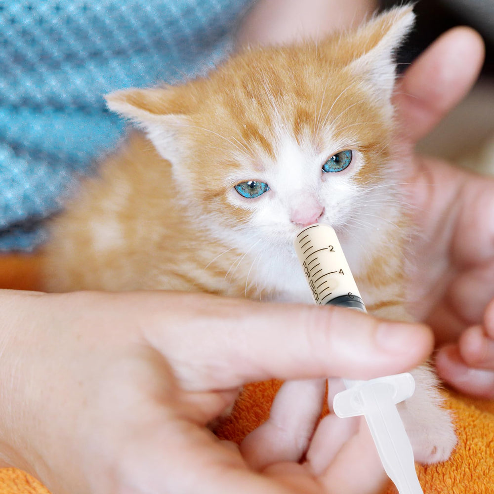 JOLLY PARTY dispensing gels with precise 10ml syringe.