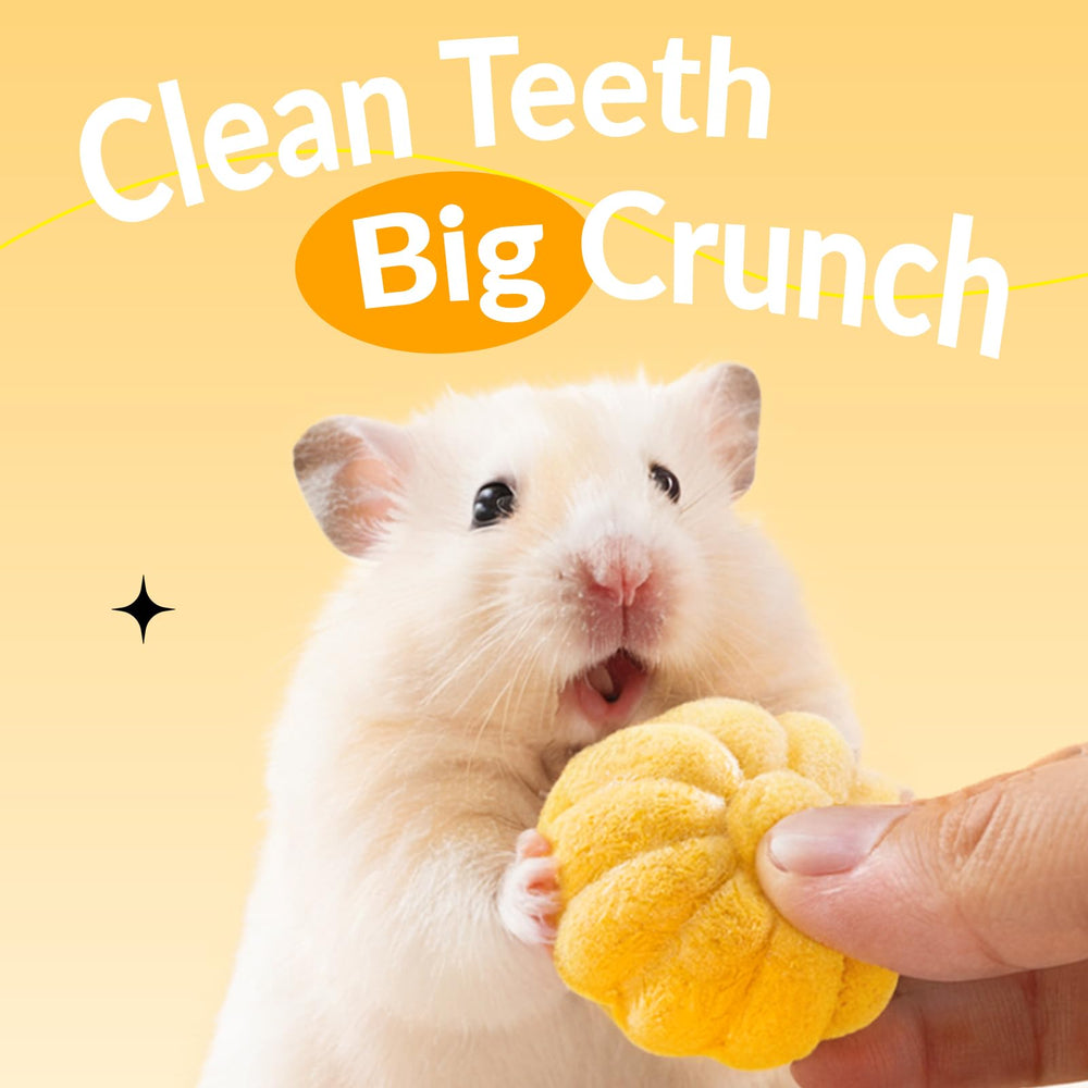 JOUSONTY hamster chew toys freeze-dried watermelon provide tasty texture