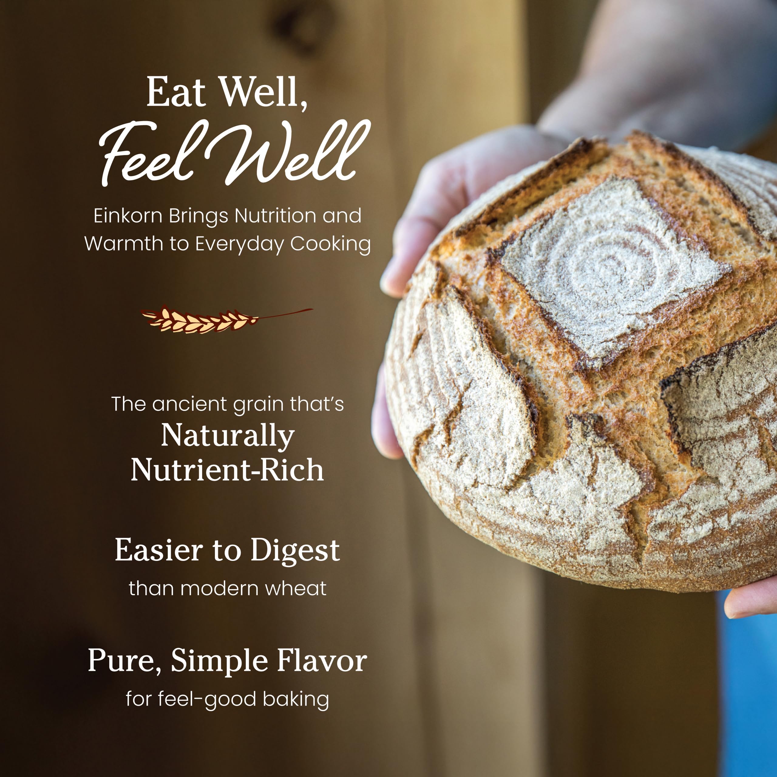 Jovial Einkorn flour dough—smooth texture ideal for artisan loaves