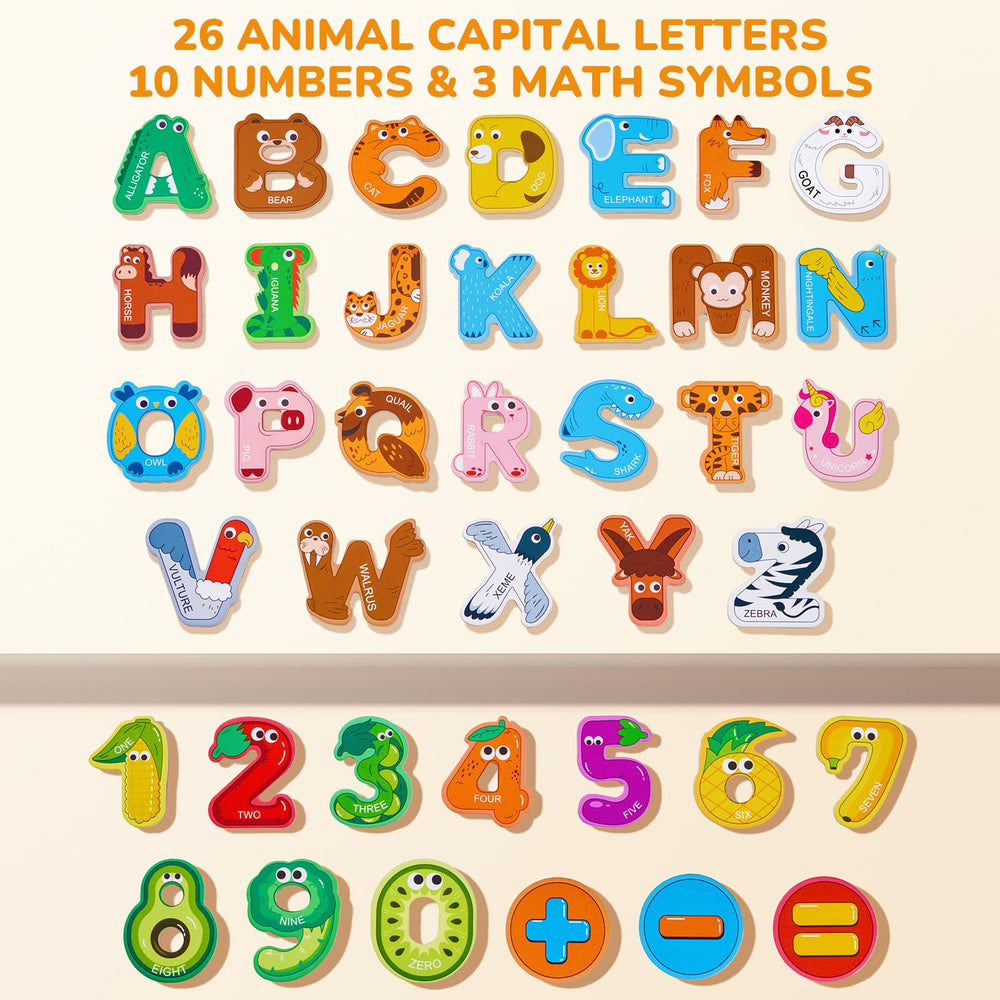 JoyCat letter B bear magnet aids spelling and memory through playful imagery.