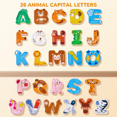 JoyCat Magnetic Letters B with bear aid letter learning and imaginative vocabulary building