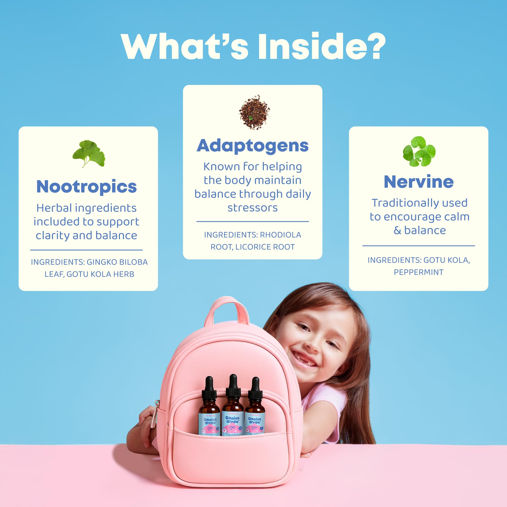 JoySpring Genius Drops Smartberry Vanilla ingredients image conveys natural herbal blend.