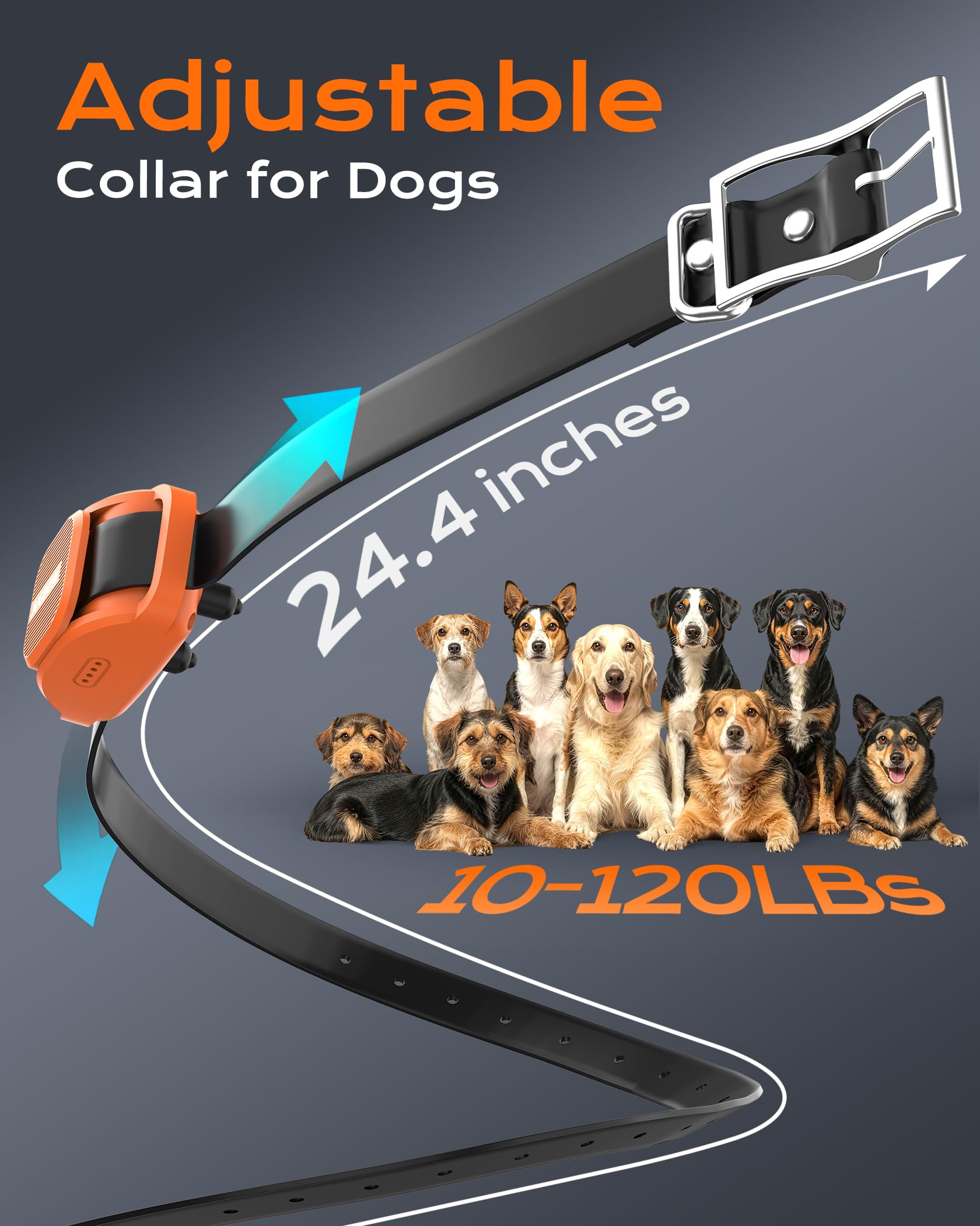 Jugbow collar adjustable neck size from 7.8 to 20 inches for a versatile fit.