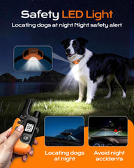 Jugbow training collar with dual channels for two dogs outdoors.