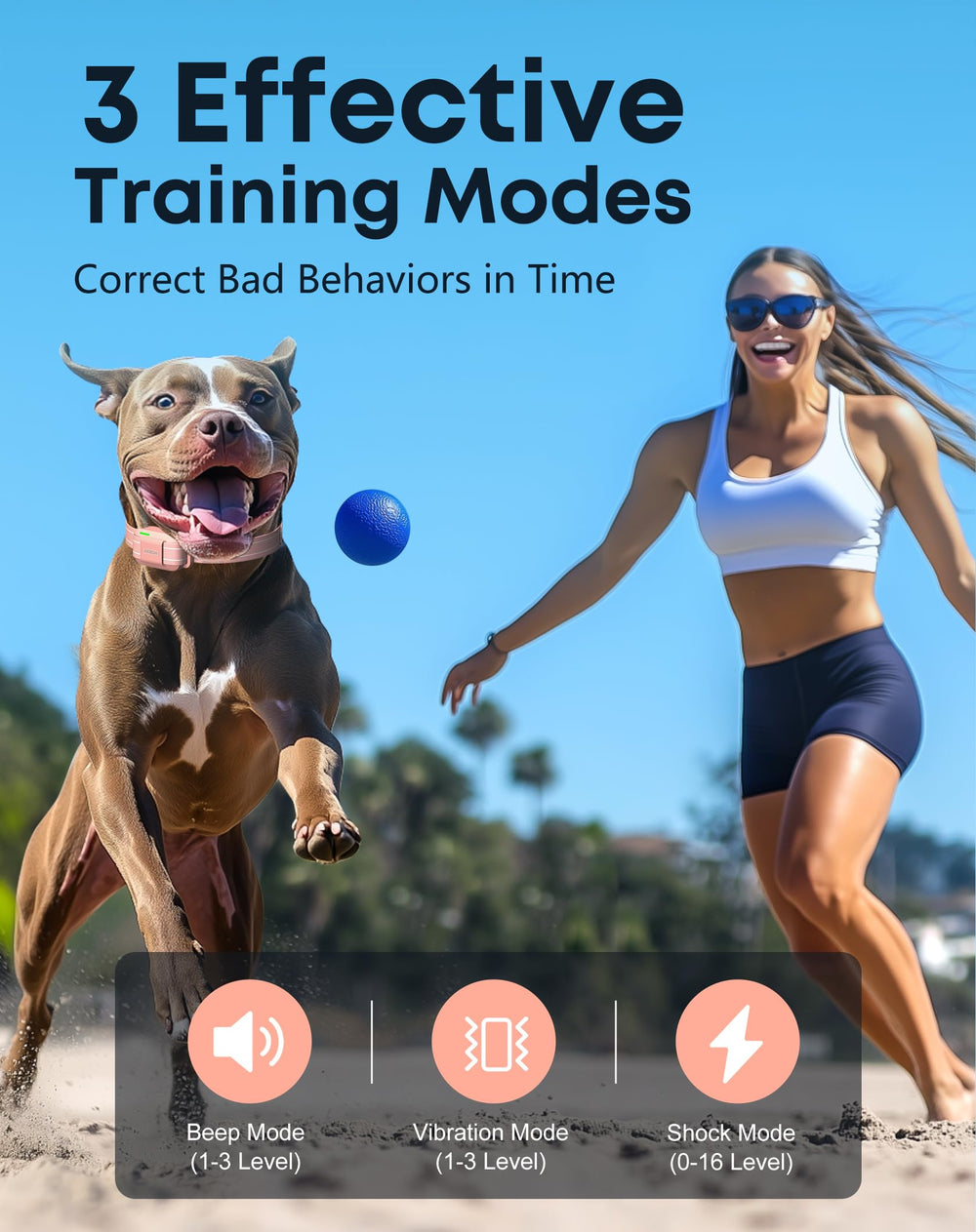 Jugbow two-channel remote supports training two dogs at once