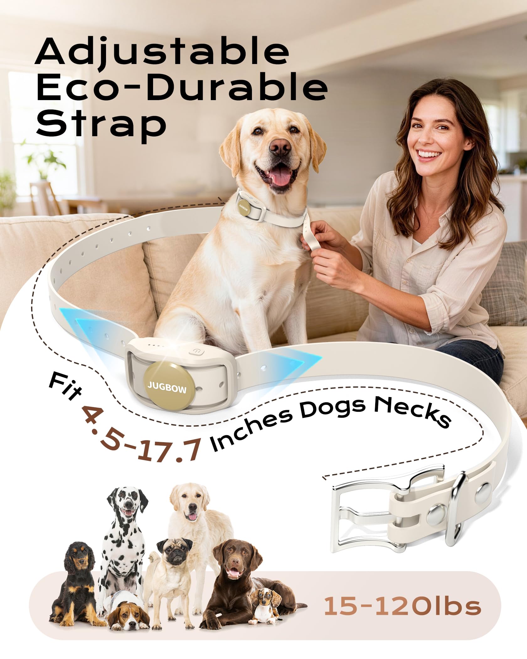 Jugbow two-channel remote enables training two dogs with separate settings.