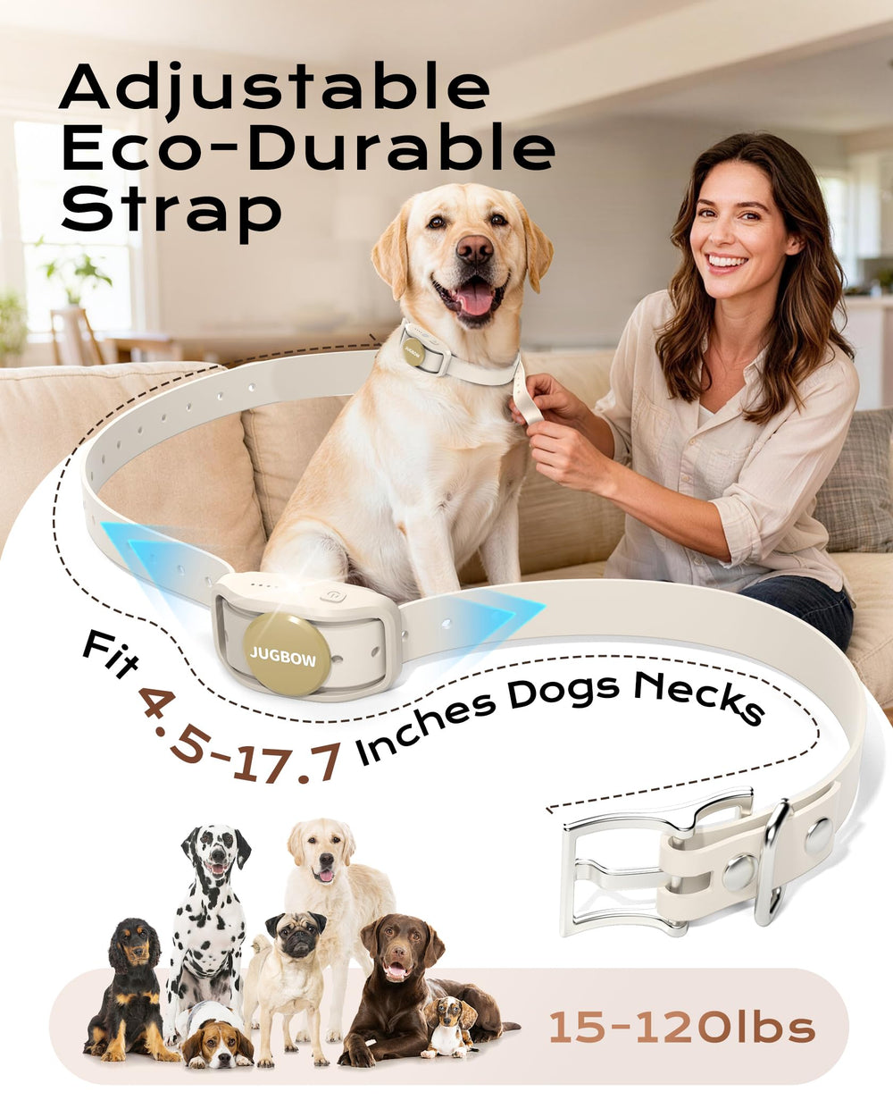 Jugbow two-channel remote enables training two dogs with separate settings.