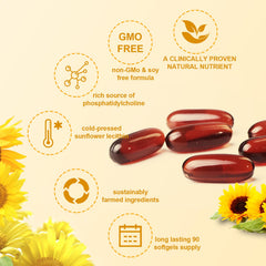 JulyDeer sunflower lecithin on shelf in a clean kitchen setup.