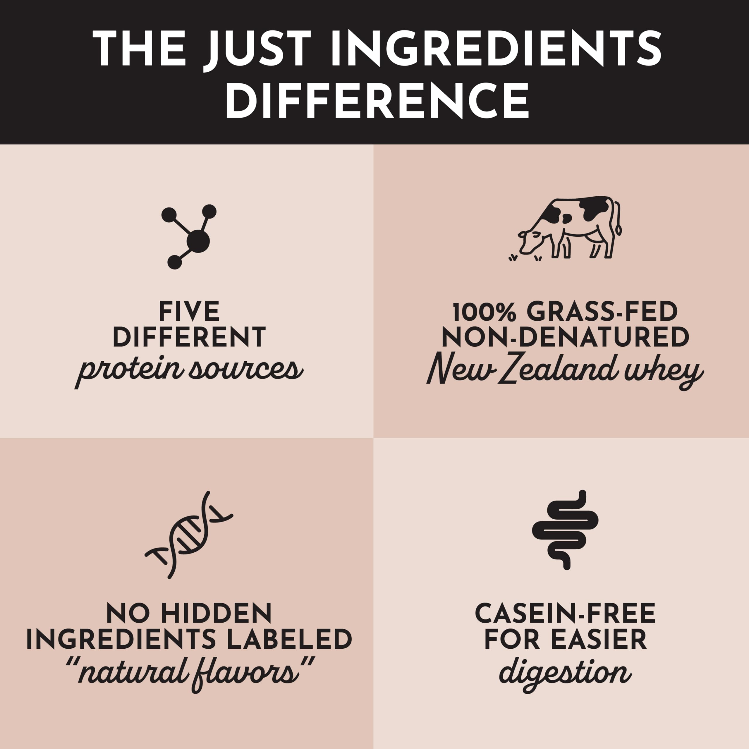 JUST INGREDIENTS Chocolate Protein Powder in baking cup suggests protein baking options.