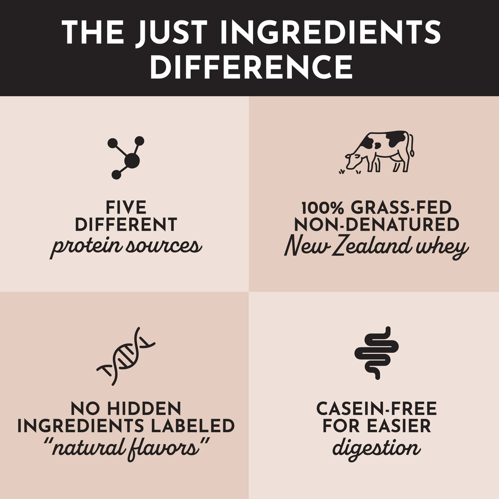 JUST INGREDIENTS Chocolate Protein Powder in baking cup suggests protein baking options.