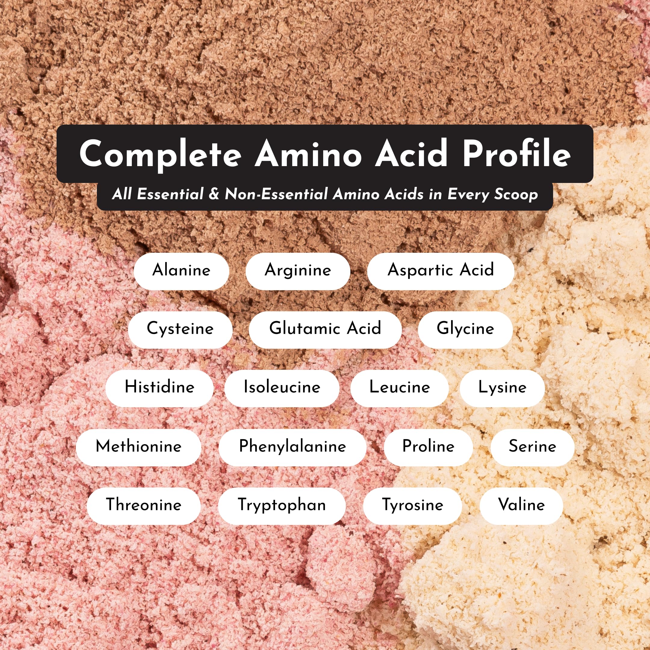 JUST INGREDIENTS Chocolate Protein Powder serving with oats shows versatile protein boost.