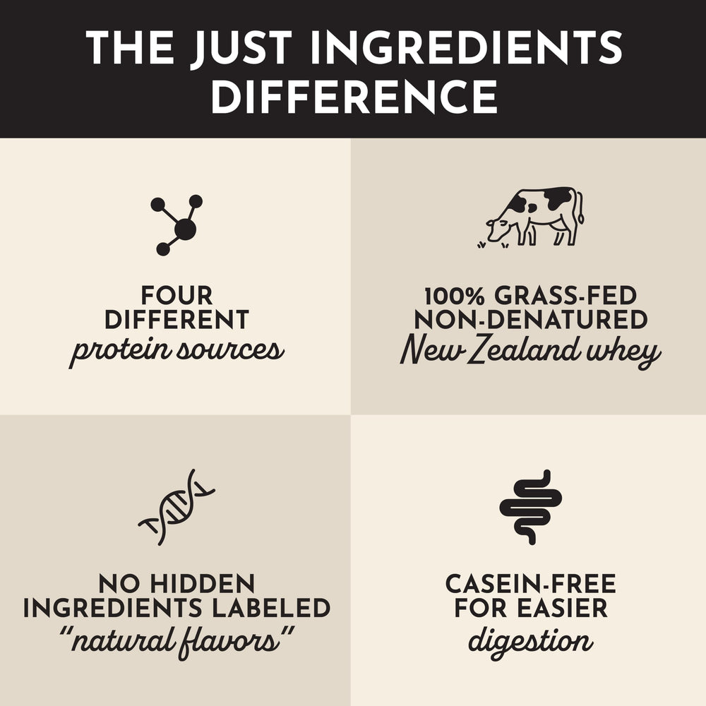 JUST INGREDIENTS Protein powder on baking tray suggests easy inclusion in recipes.