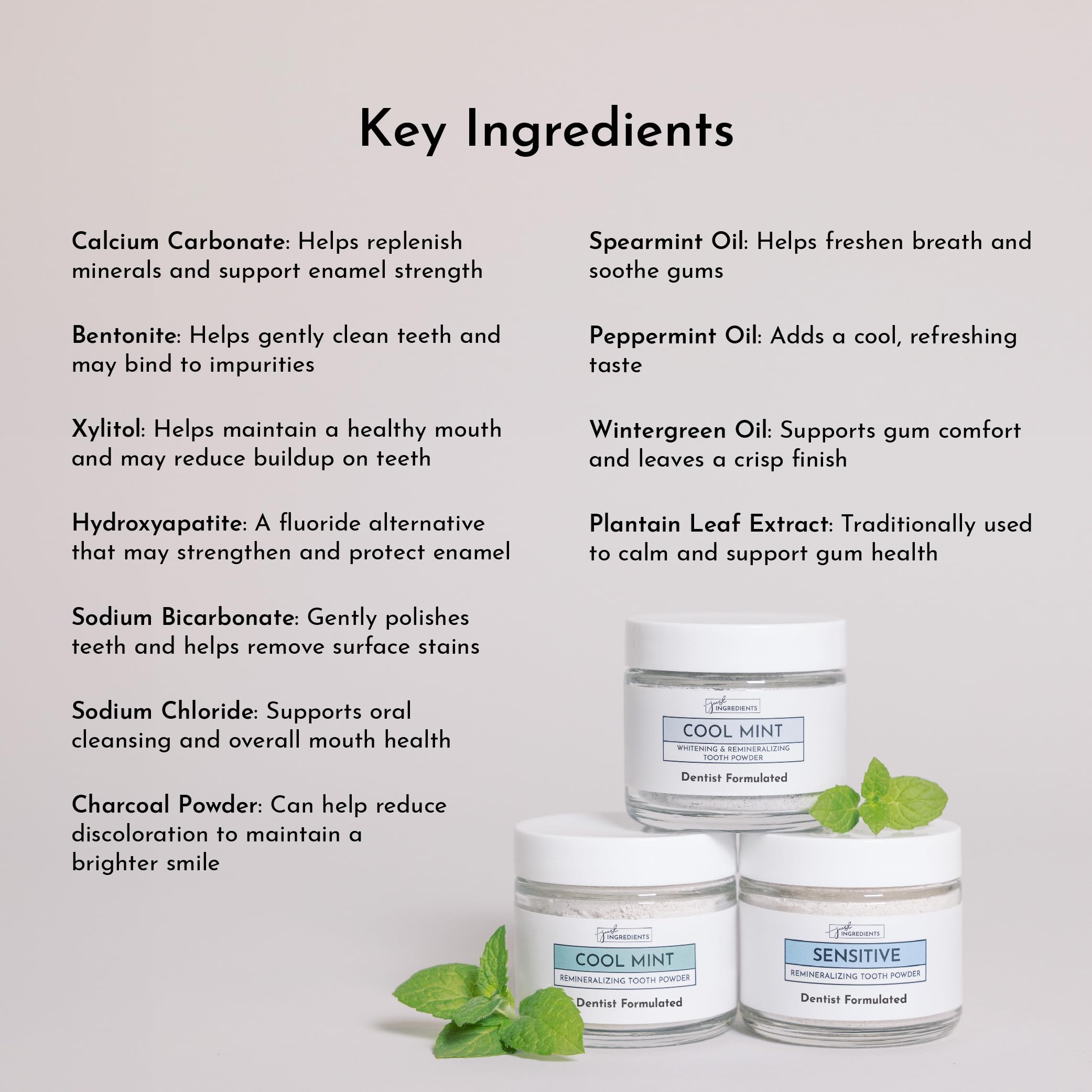 Just Ingredients remineralizing tooth powder tub highlighting natural ingredients and clean brushing