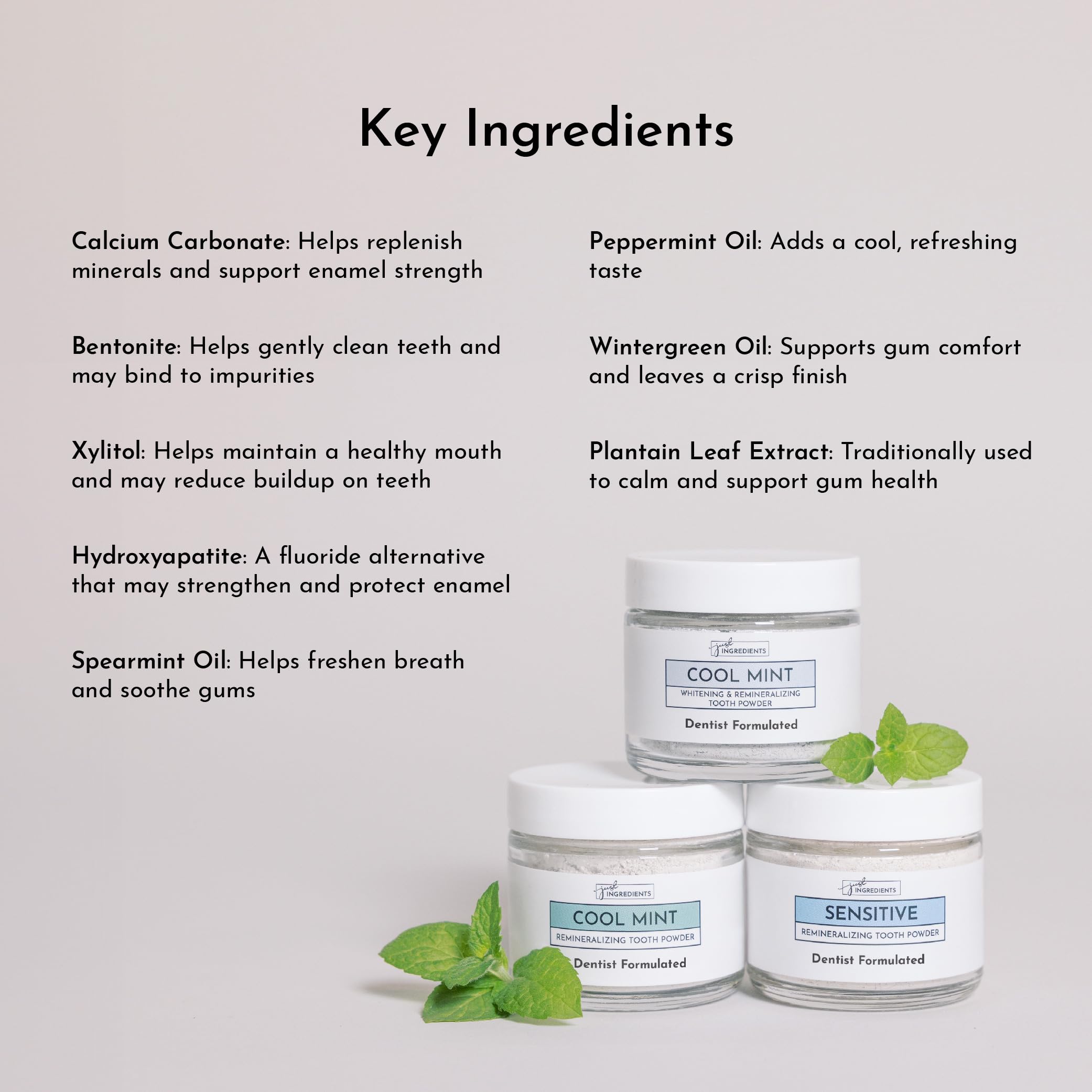 JUST INGREDIENTS toothbrush with powder demonstrates easy daily brushing for clean, fresh breath