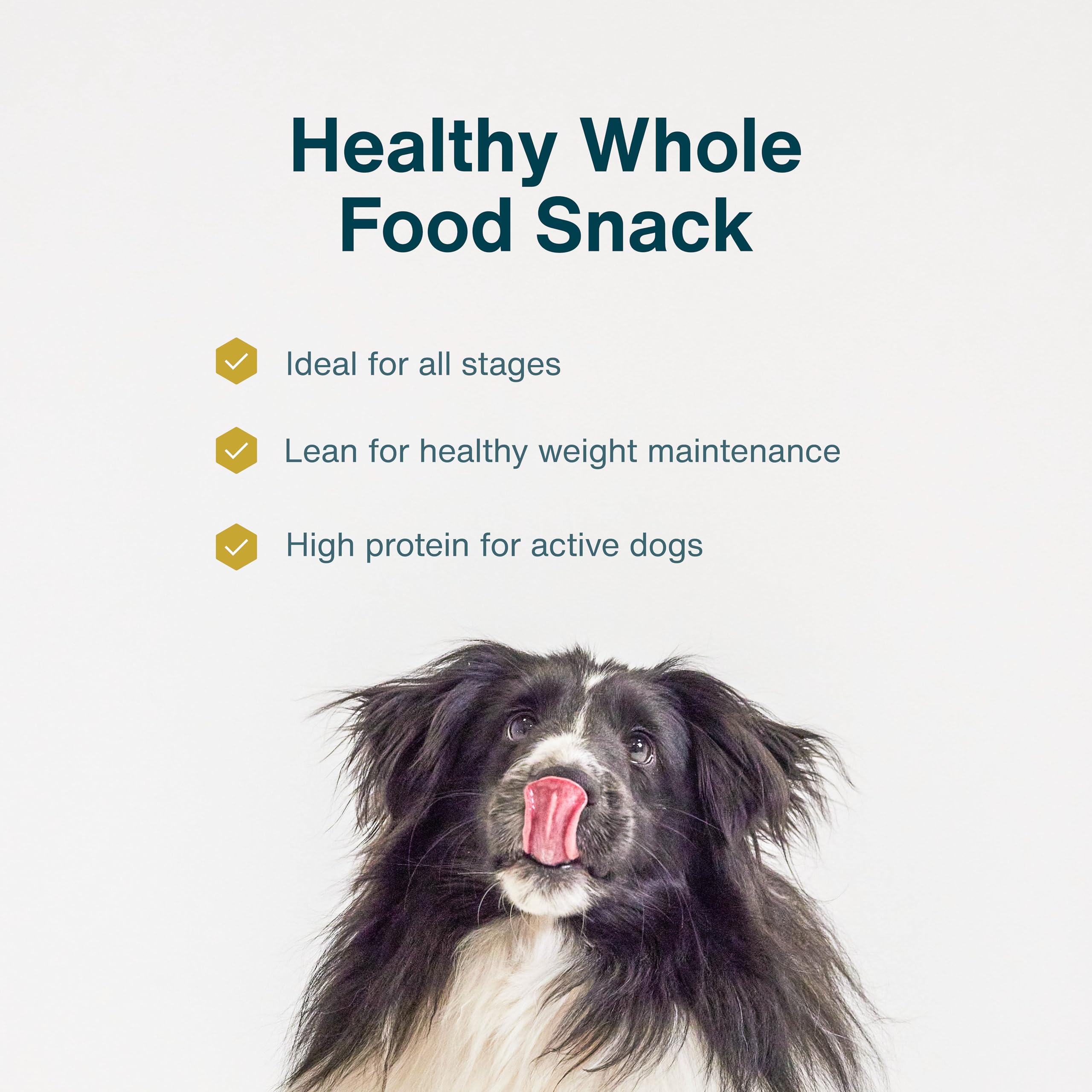 JustFoodForDogs batch-made in USA, small-batch production