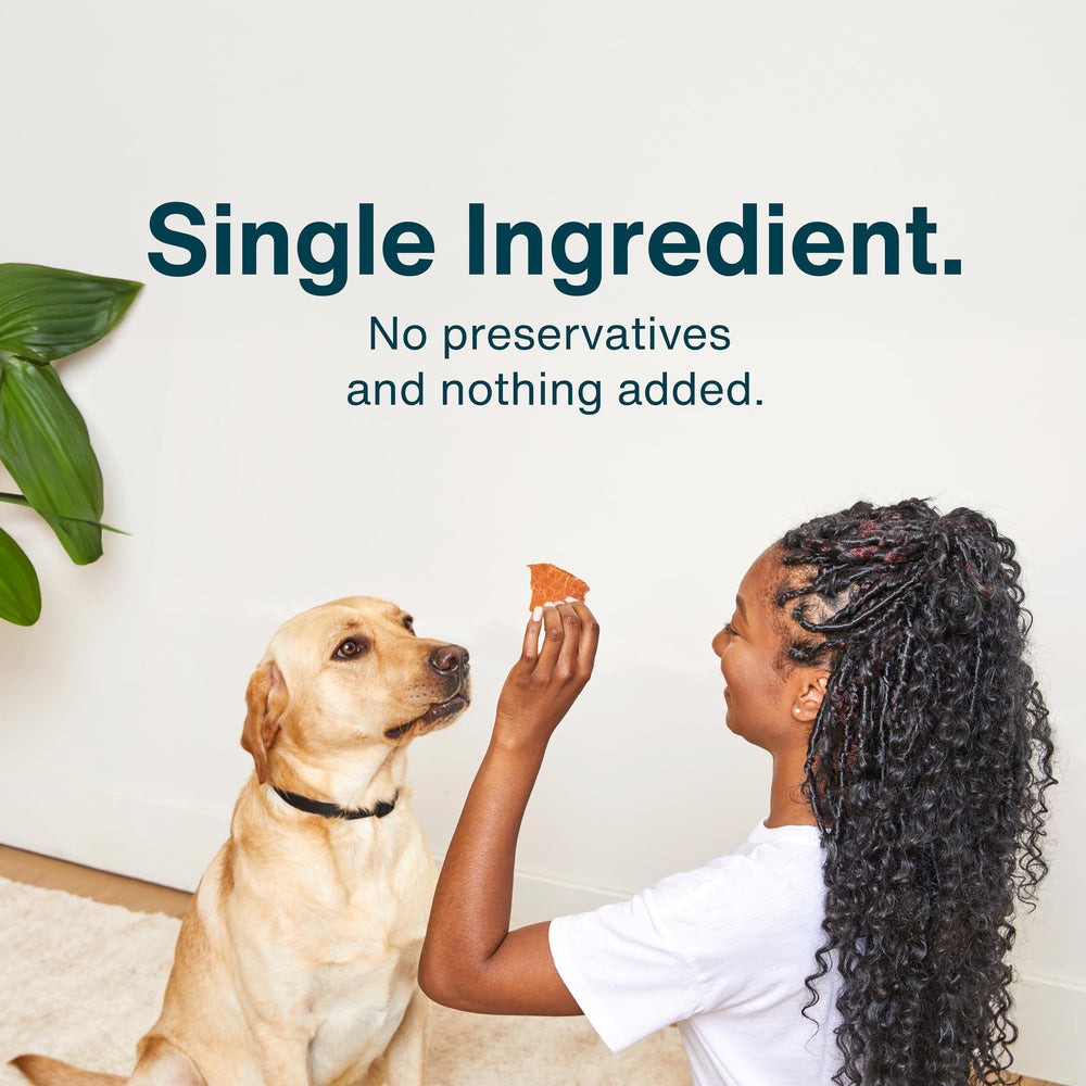 JustFoodForDogs grain-free jerky dog treats: grain-free protein without fillers.