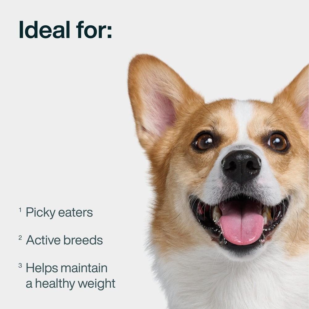 JustFoodForDogs JustFresh resealable pouch preserves freshness between meals.