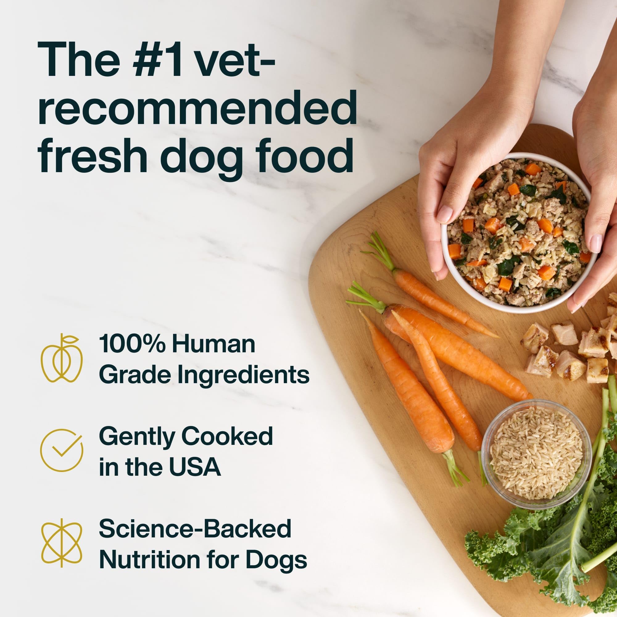 JustFoodForDogs JustFresh bowl-served presentation with balanced nutrition