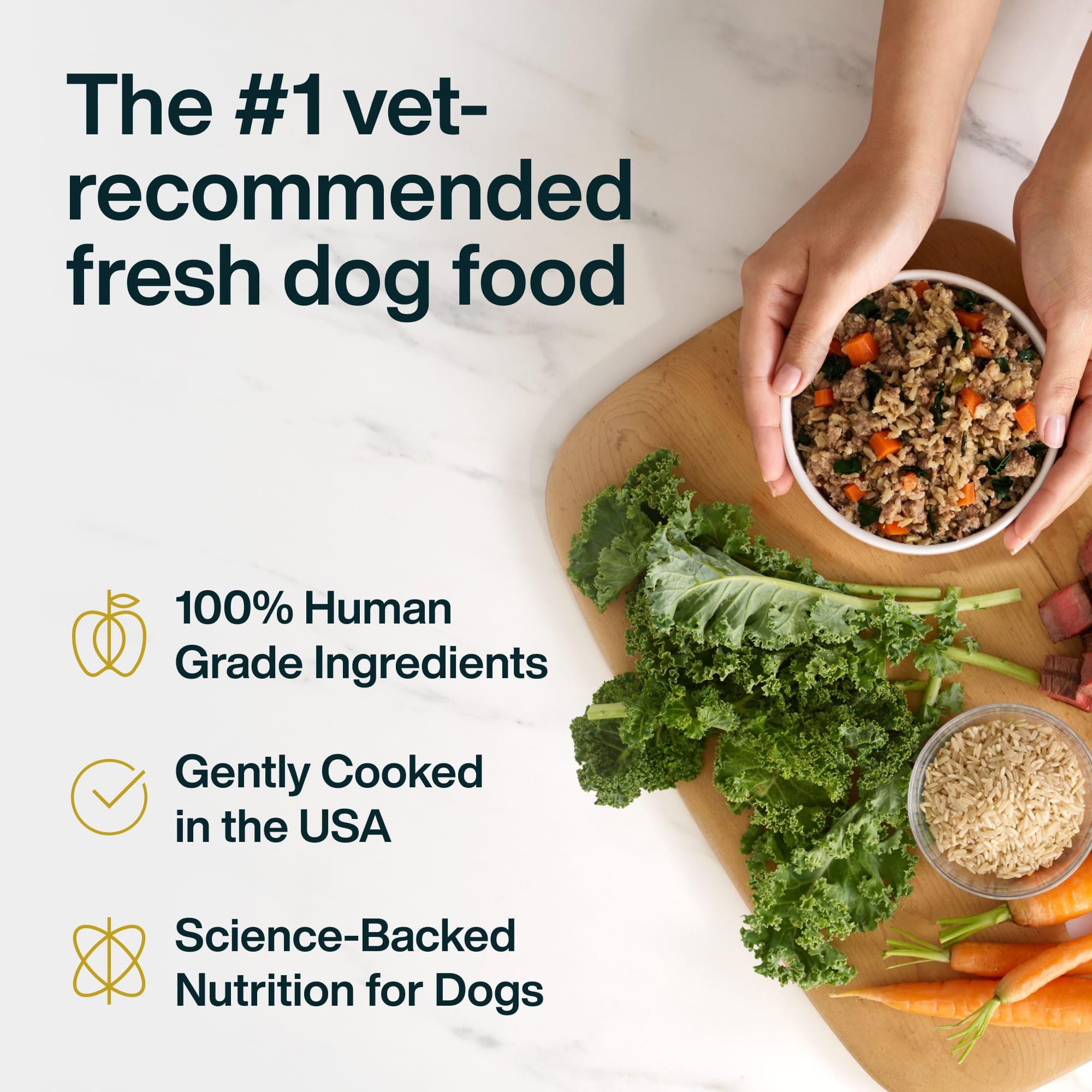 JustFoodForDogs JustFresh pork wet dog food pouch great for picky eaters
