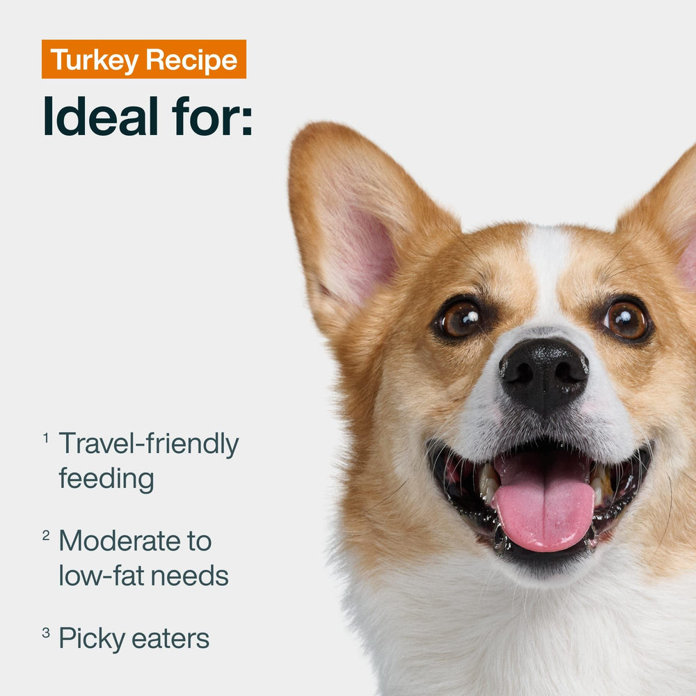 JustFoodForDogs JustFresh served over kibble demonstrates a tasty topper for added moisture