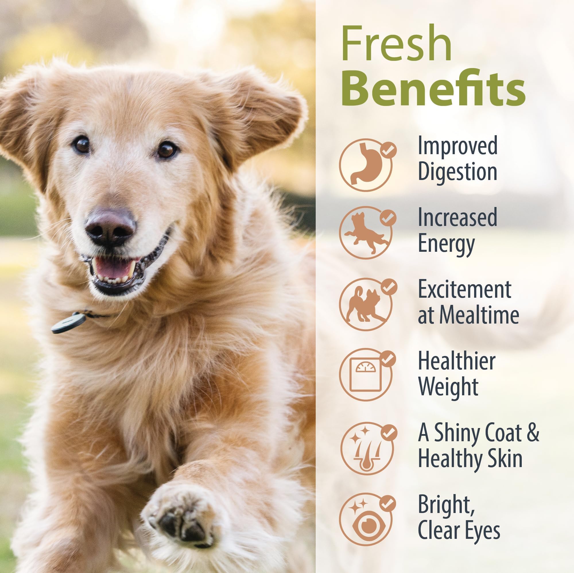 JustFoodForDogs Nutrient Blend supports active dogs with balanced meal options.