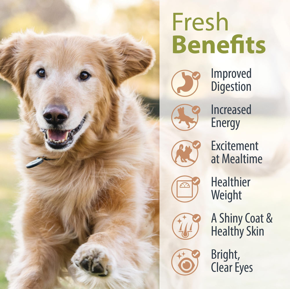 JustFoodForDogs Nutrient Blend supports active dogs with balanced meal options.