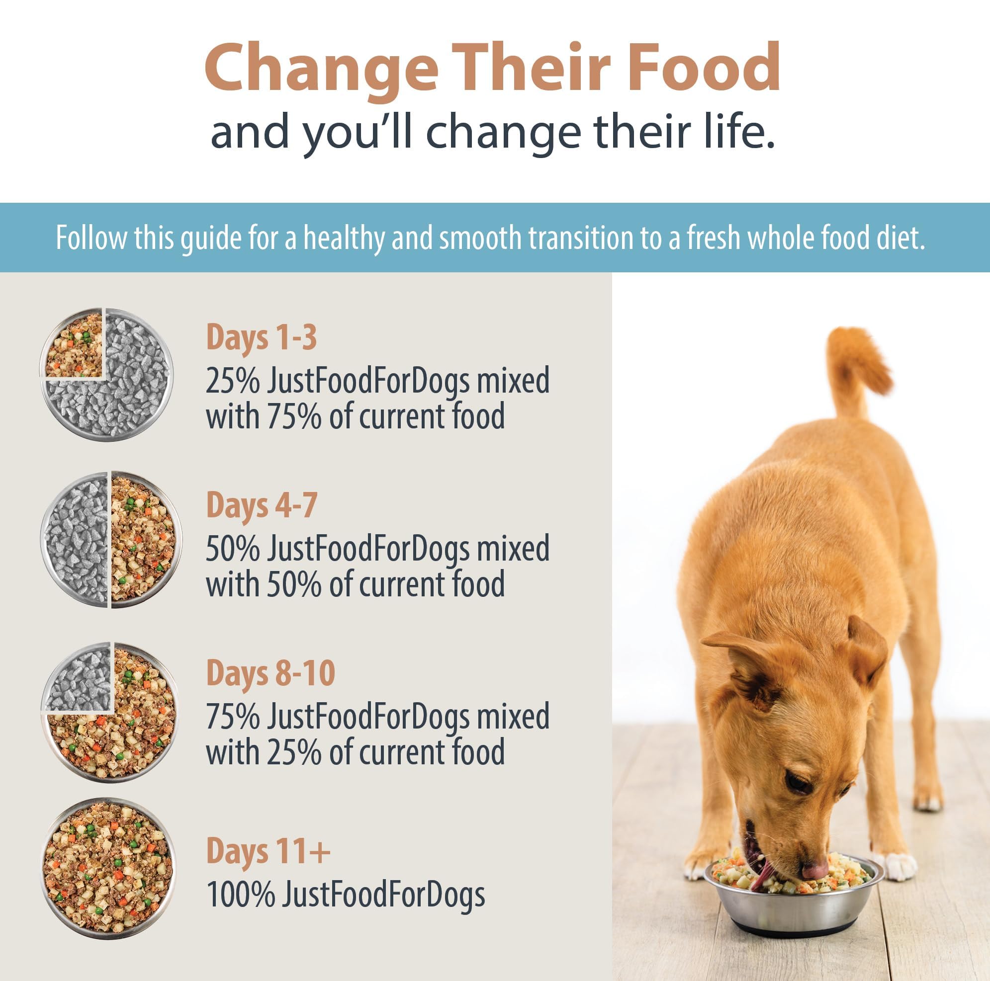 JustFoodForDogs Nutrient Blend balanced-diet guide aids long-term planning.
