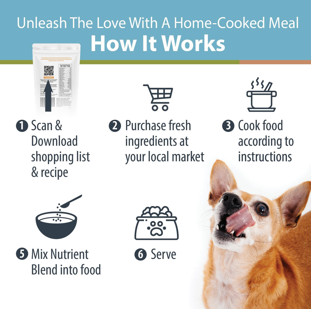 JustFoodForDogs Nutrient Blend topper idea enhances flavor and hydration.