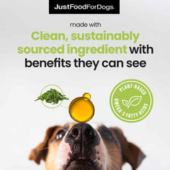 JustFoodForDogs Omega Oil pour demonstrates easy dosing during meals.