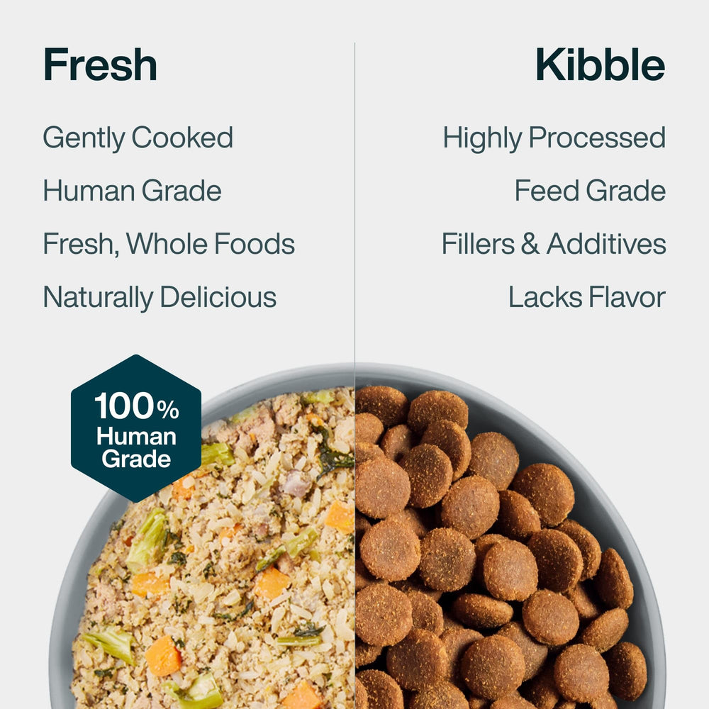JustFoodForDogs Pantry Fresh open tetra pak showing morsels.
