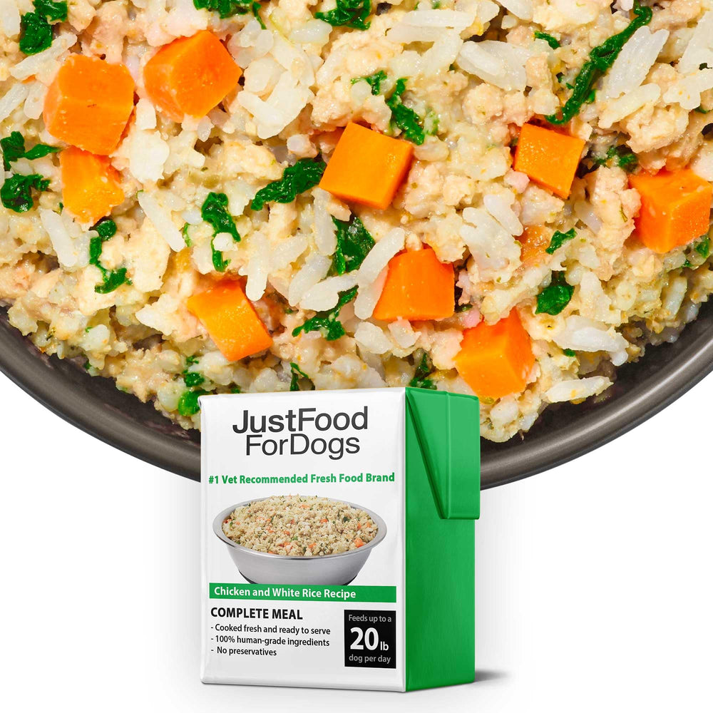 JustFoodForDogs Pantry Fresh package shows freshness for travel-friendly meals.