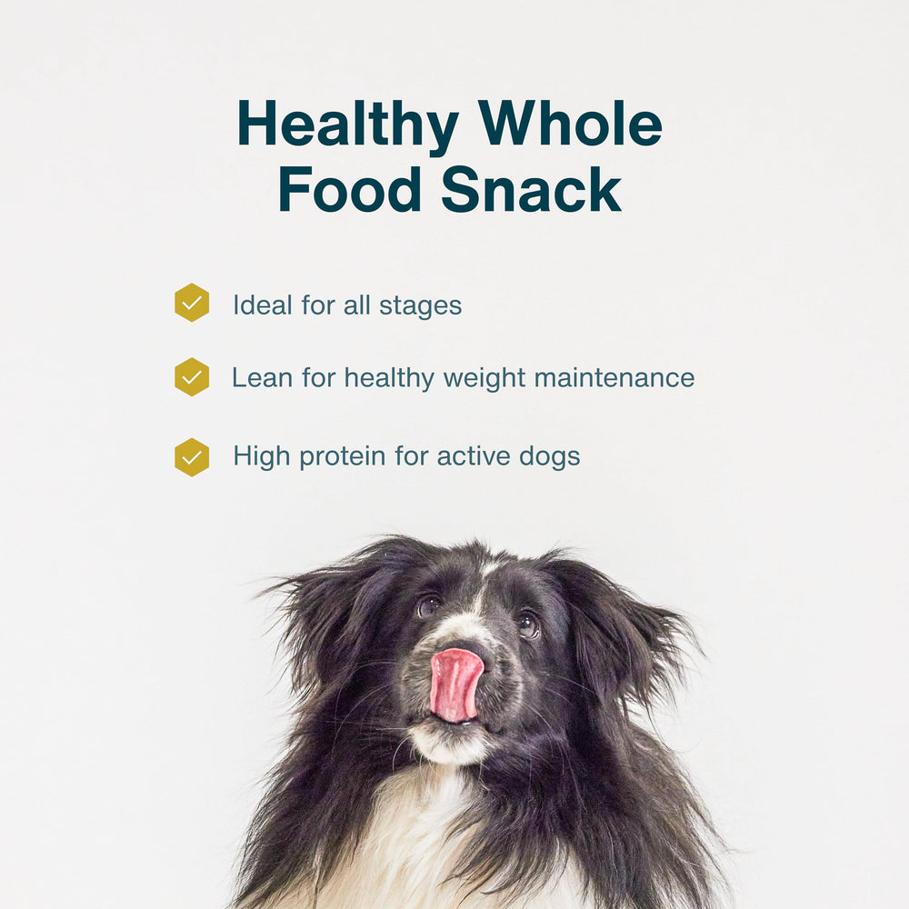 JustFoodForDogs single-ingredient dog treat: simple real meat for sensitive pups.