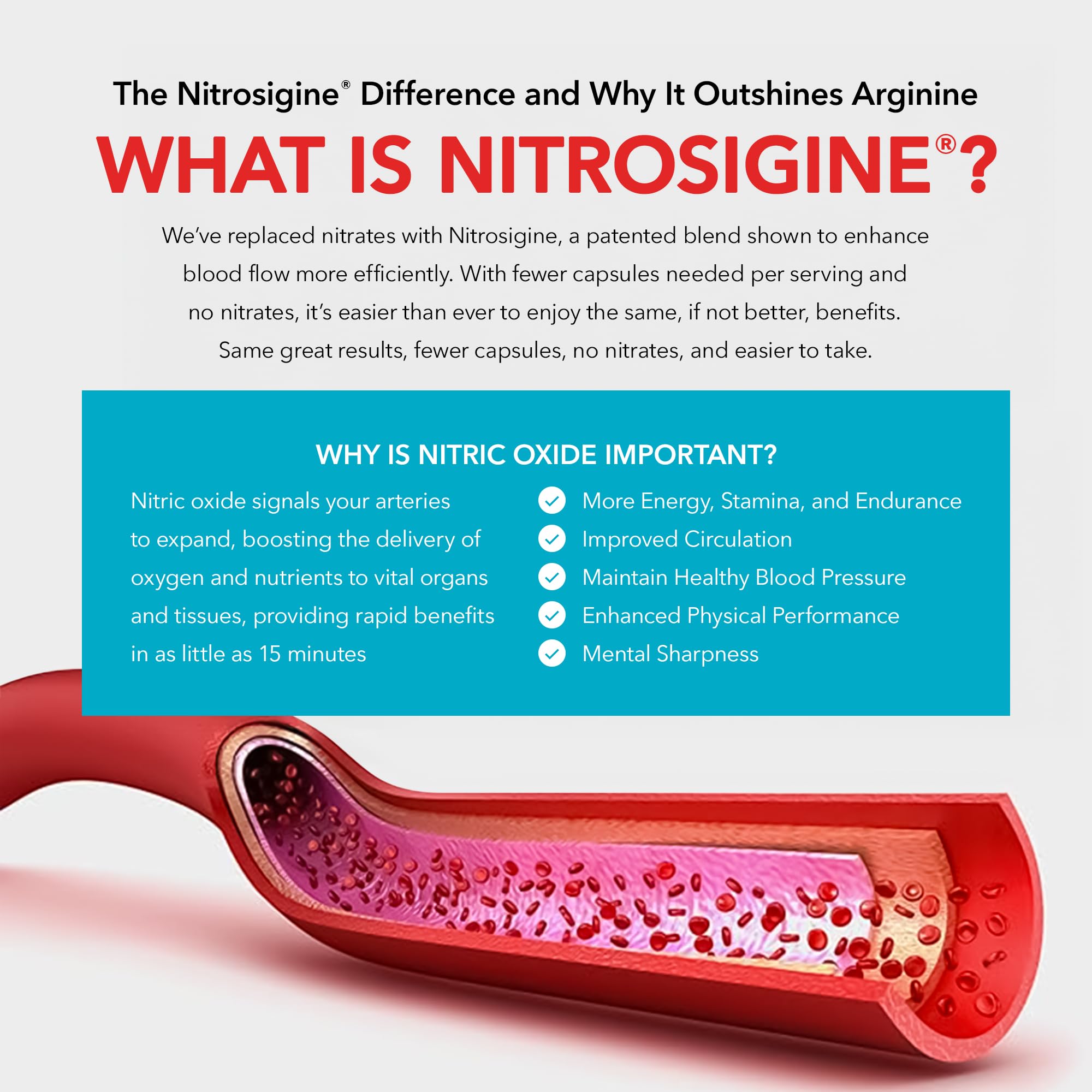 Juvenon Nitrosigine graphic explains nitric oxide concept.
