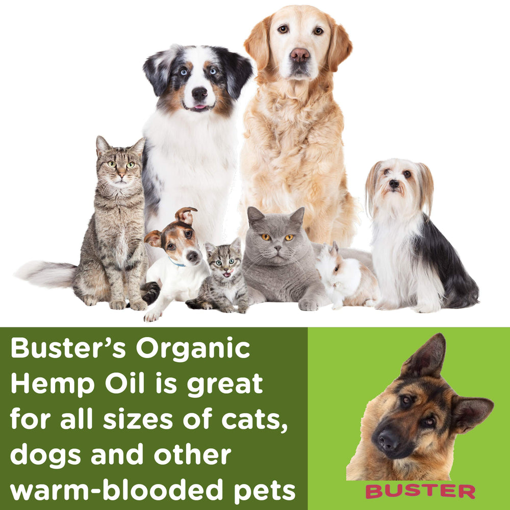 K2xLabs Buster's Hemp Oil packaging emphasizes natural, vegan formula