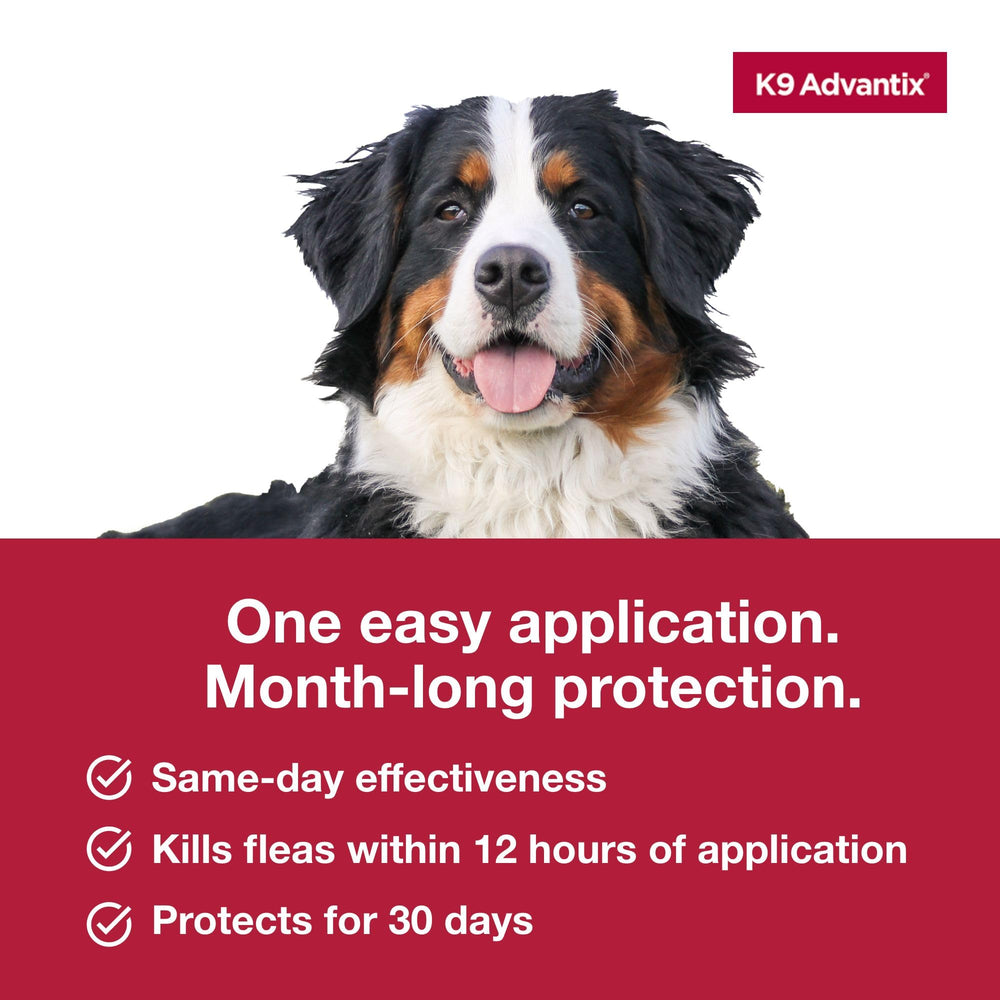 K9 Advantix Extra Large fragrance-free formula for sensitive pets.