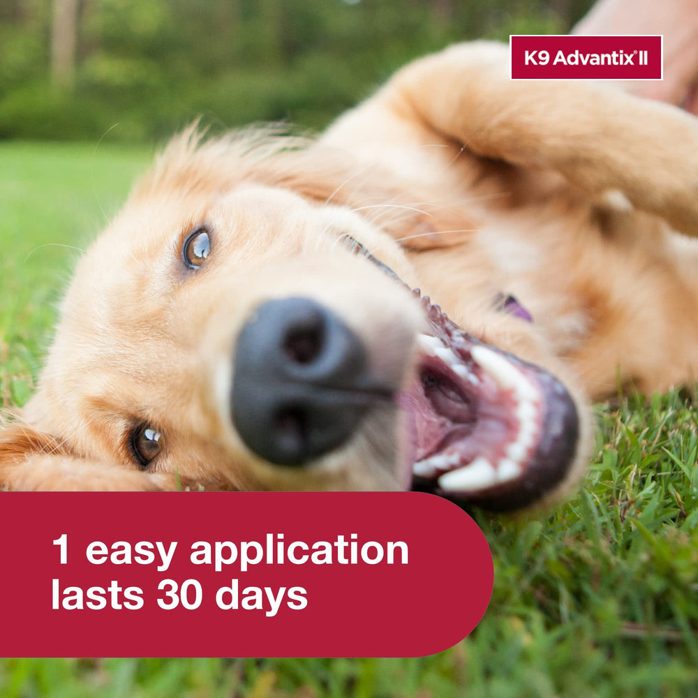 K9 Advantix II large dog indoor-outdoor protection for year-round care.