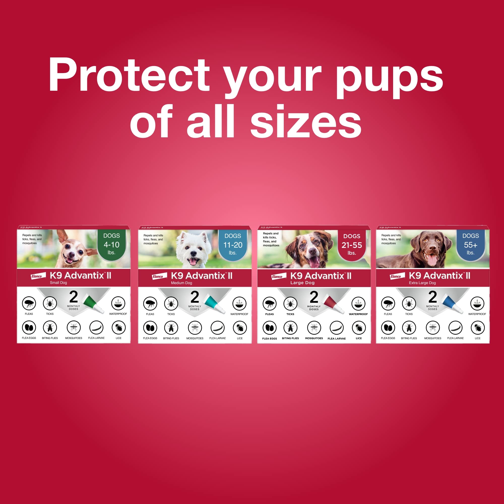 K9 Advantix II monthly dosing packs for consistent protection.