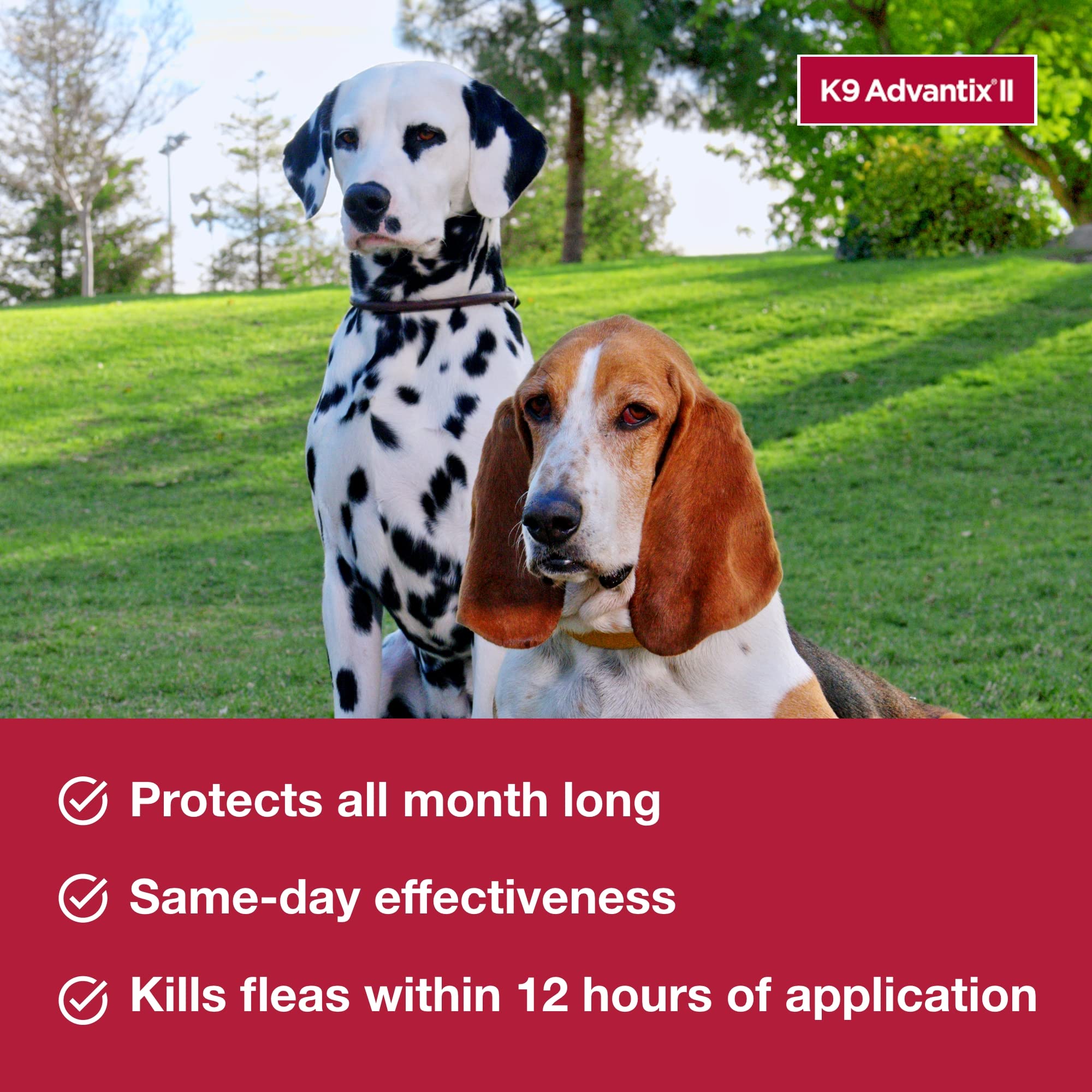 K9 Advantix II Small Dog fragrance-free formula applied to coat.