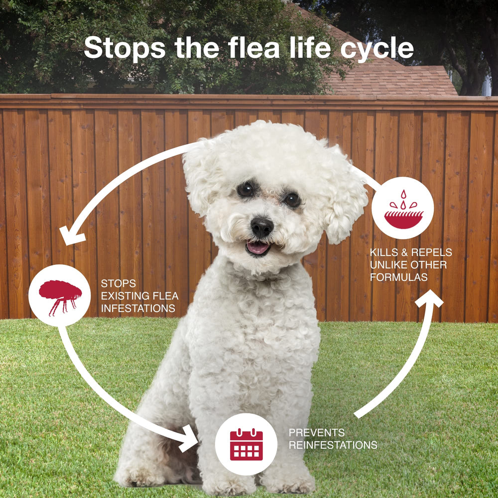 K9 Advantix II Small Dog suitable for indoor and outdoor use.