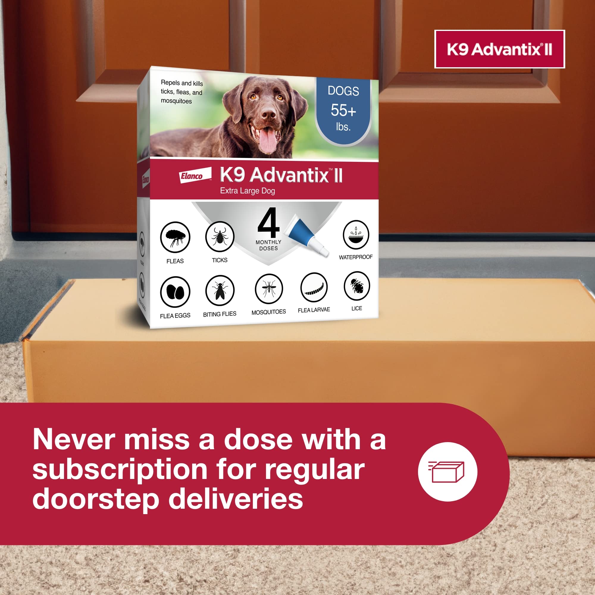 K9 Advantix II XL monthly-treatment reminder supports steady defense.