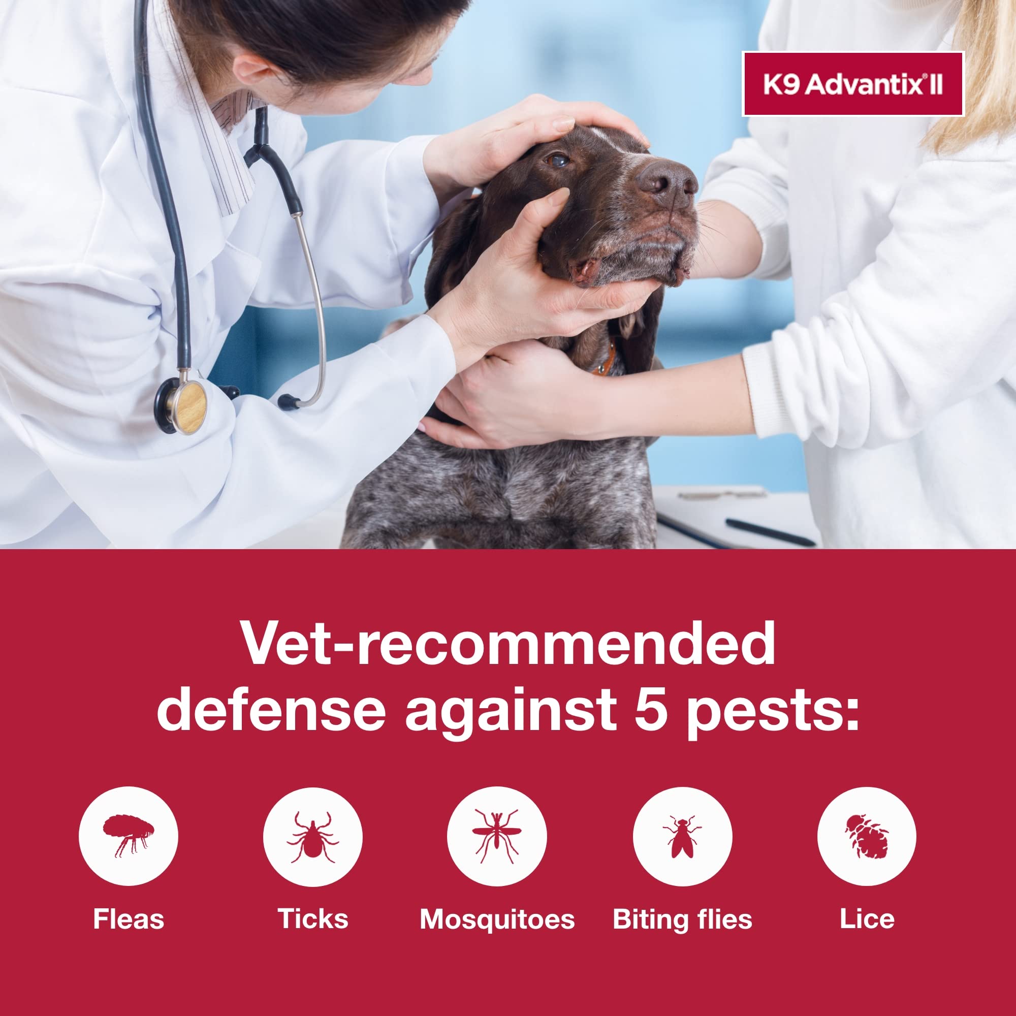 K9 Advantix II XXL 2-dose pack for convenient monthly protection