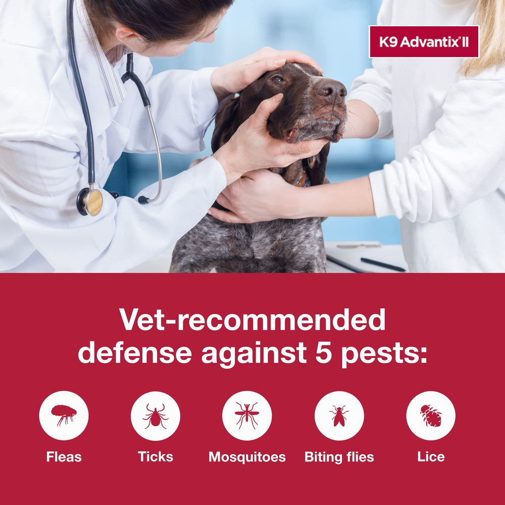 K9 Advantix II XXL 2-dose pack for convenient monthly protection