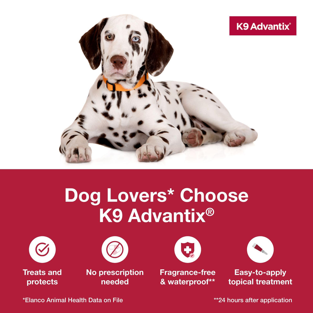 K9 Advantix Large Dog biting-fly defense for active days outside