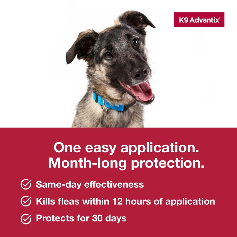 K9 Advantix Large Dog fragrance-free formula for sensitive coats