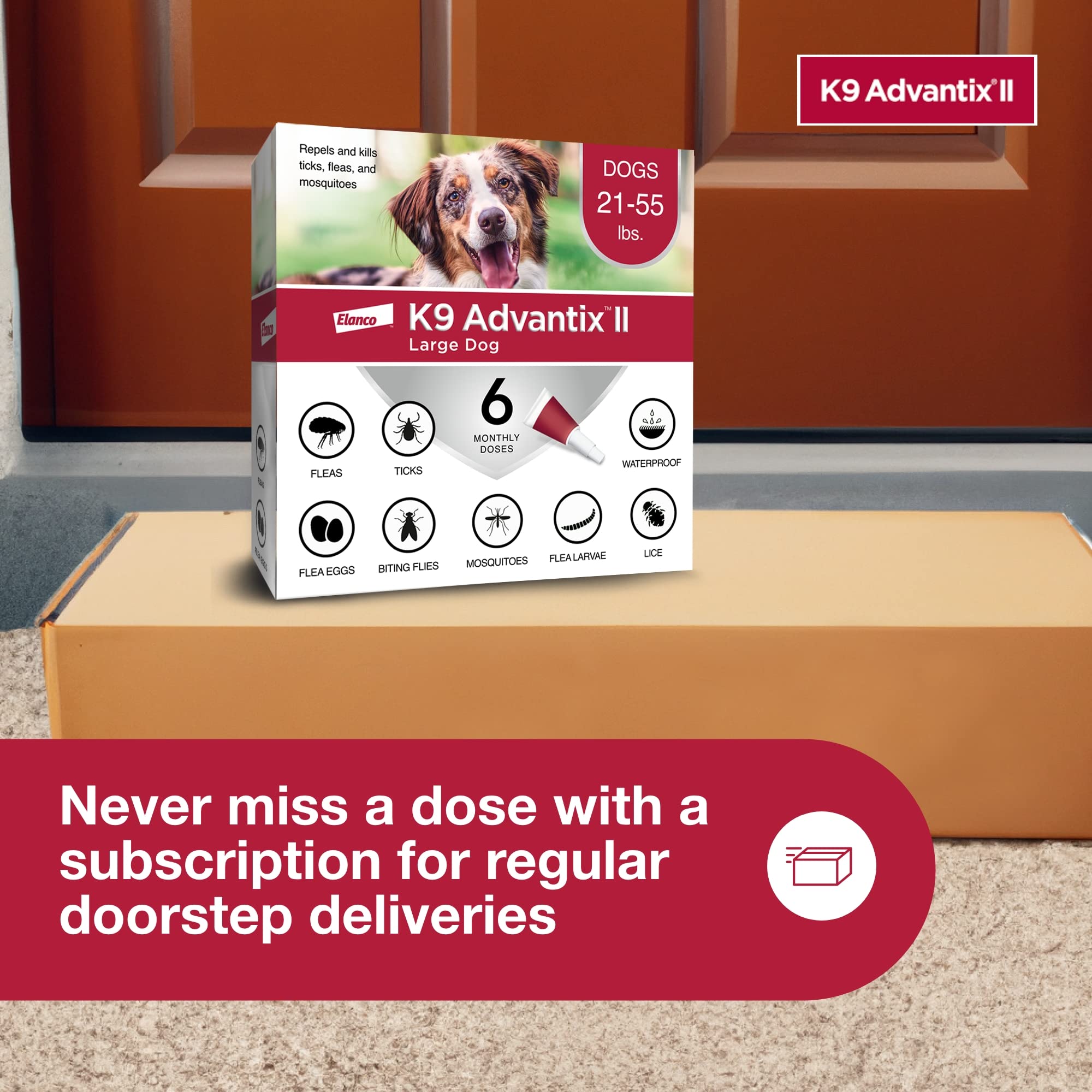 K9 Advantix Large Dog usage for indoor and outdoor environments.