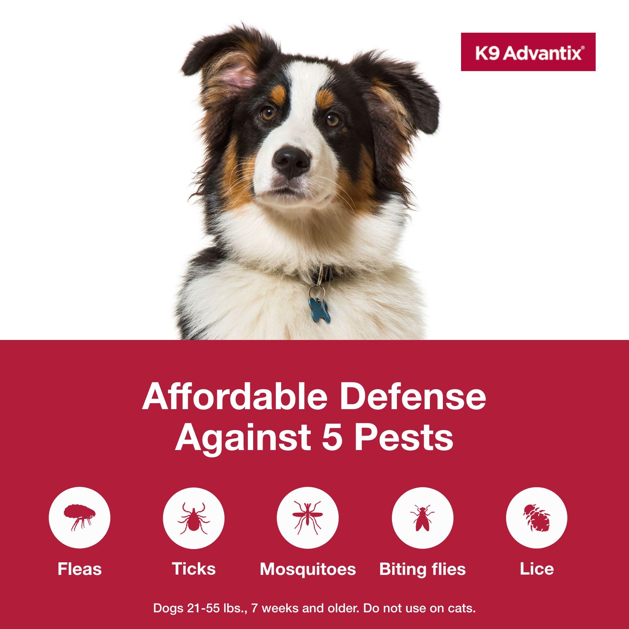 K9 Advantix Large Dog mosquito-repellent protection after application