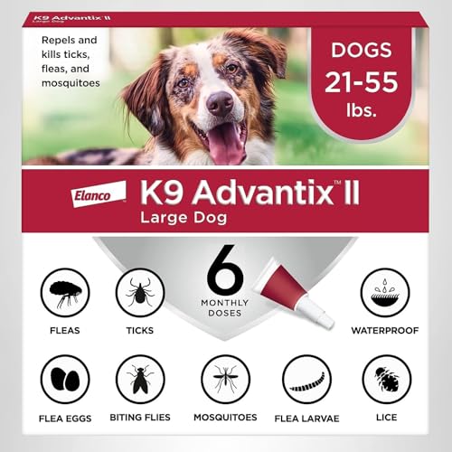 K9 Advantix Large Dog owner walking a dog after treatment, enjoying park time.